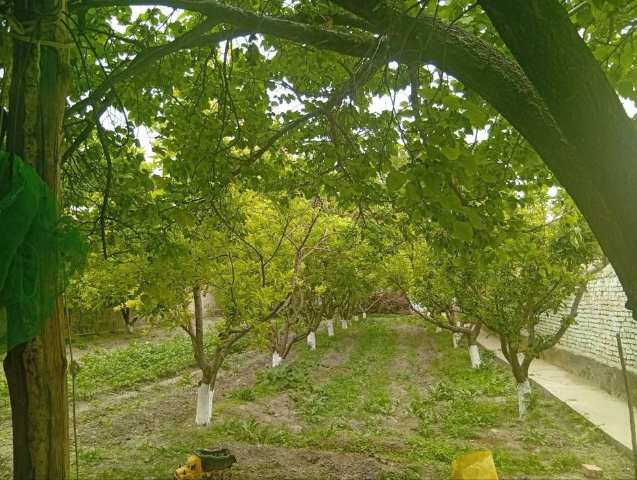 Hovli uy sotiladi