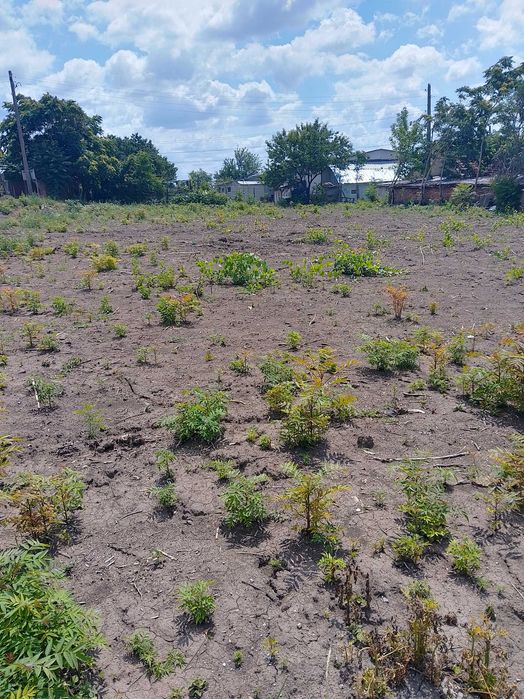 Продава се Парцел в Разград, Промишлена зона - Запад - 1326 кв.м за 16 €/кв.м - Снимка #1