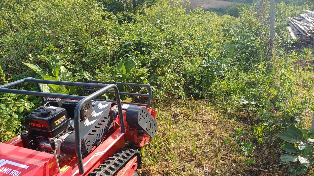 Curatare teren , tocare vegetatie,