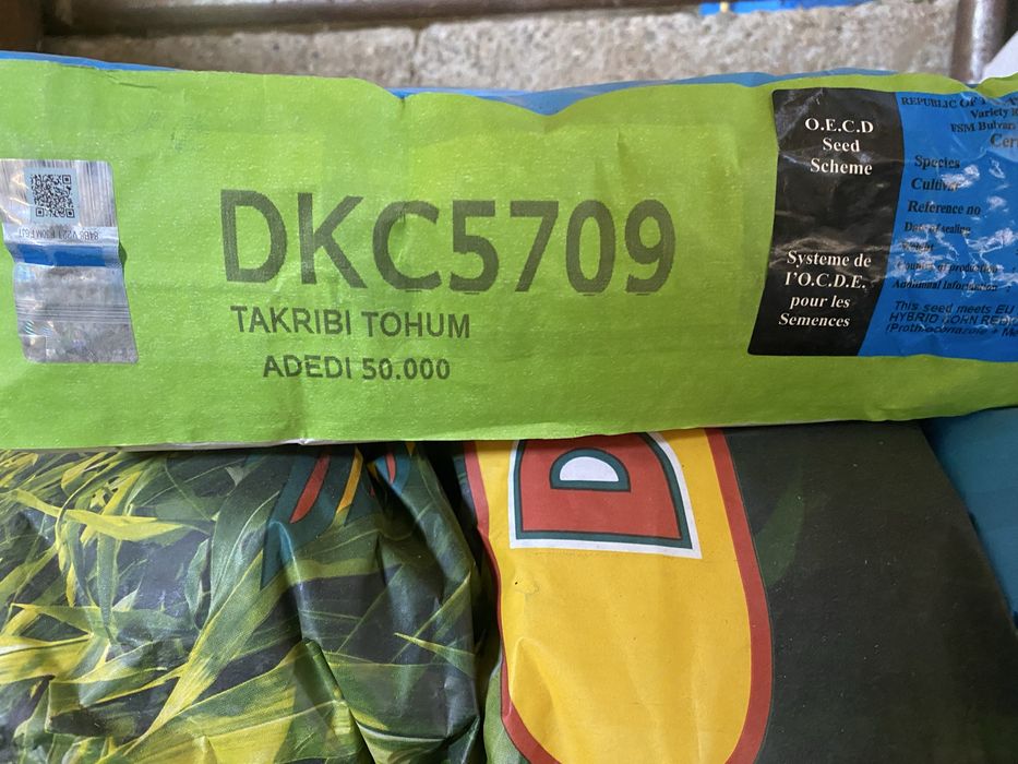 Семена кукурузы Dekalb