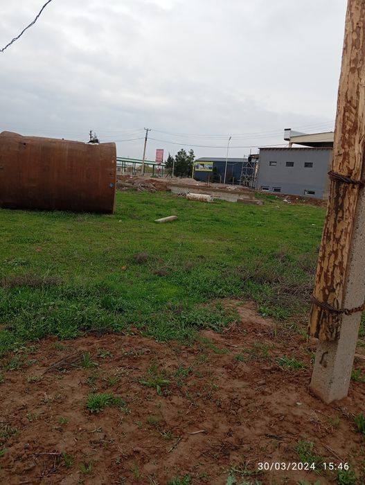 Bush yer sroshni sotiladi