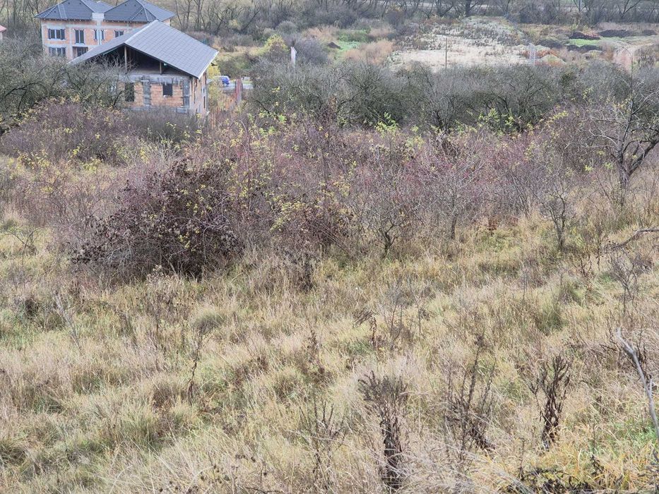 teren INTRAVILAN  9 880 mp, front 63m BACIU, pt 16 case