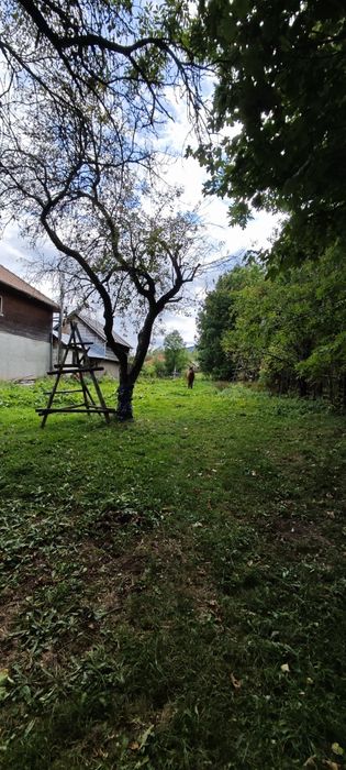 Teren intravilan Valea Doftanei apa curent fosa