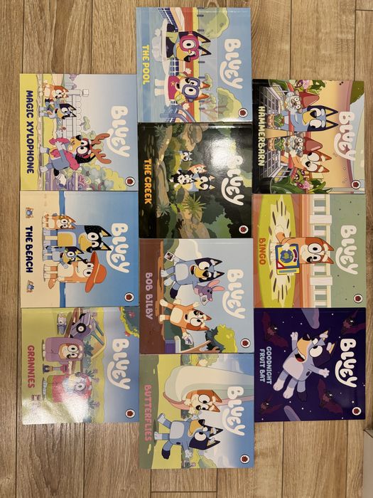 Bluey 10 Picture Books Set
