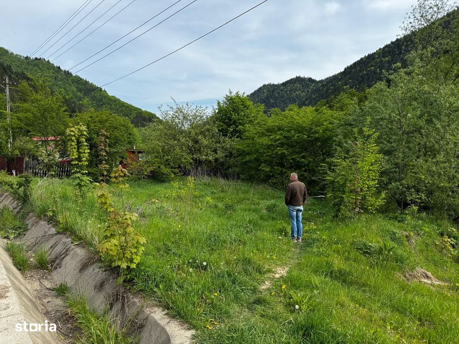 Terende vânzare  – 4.300 mp Brateș-Tarcău,Neamț-Potențial turistic