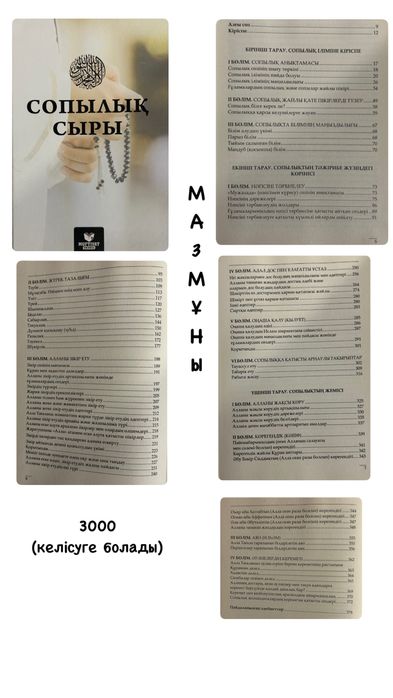 Жаңа порно секс видео