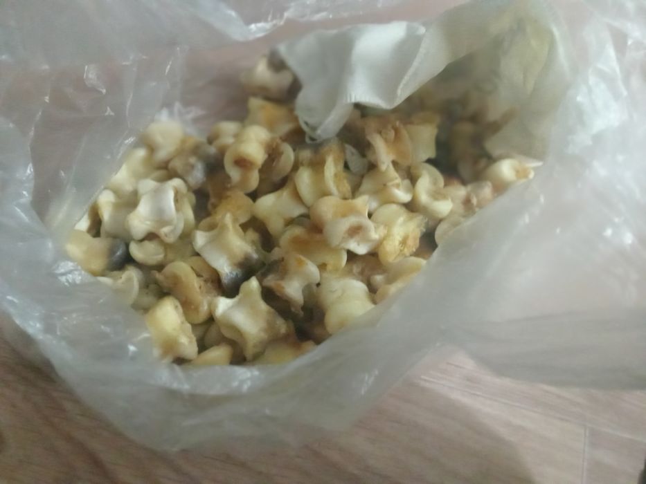 Күшті жақсы адемі