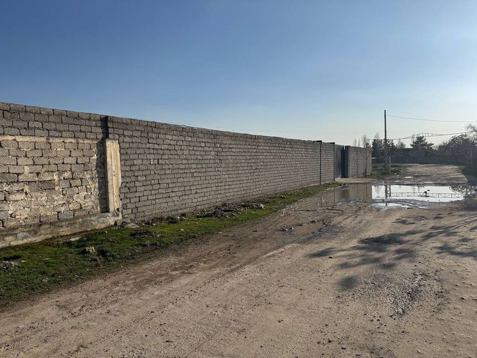 Аренда га курук йер  aredna yer  янги узбекистон