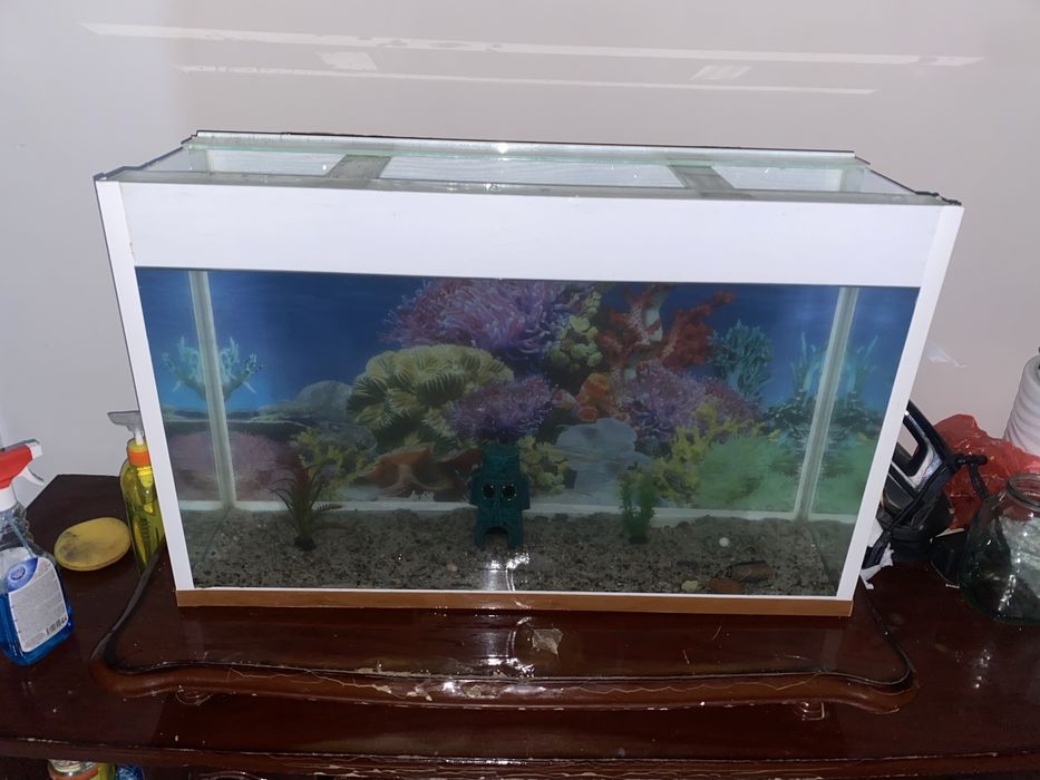 Аквариум с рыбками