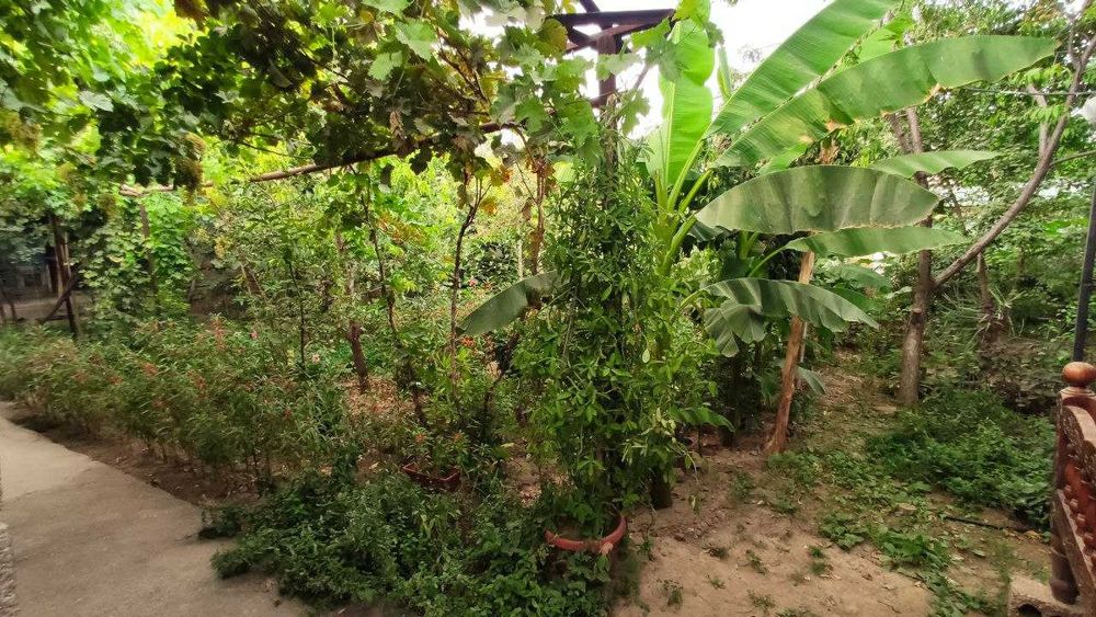 Продается большой дом с мебелью и техникой в Азадбаше.