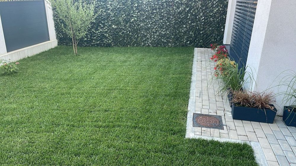 Gazon rulou sau rustic