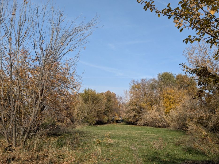 Участок ЛПХ 25 соток Орикти