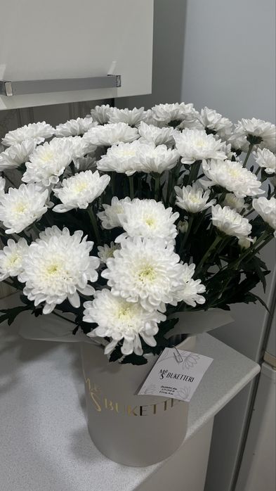 ромашки цветы…….