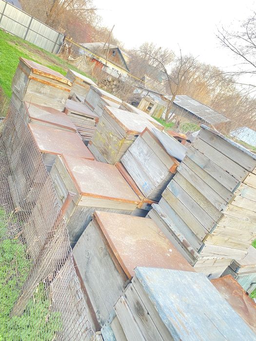 Продам  улья для пчёл