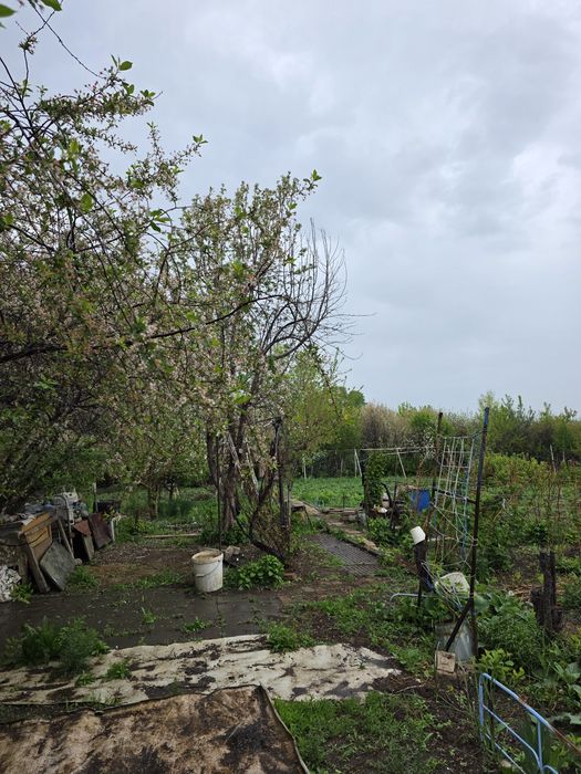 Продам дачу в кооперативе Мелиоратор