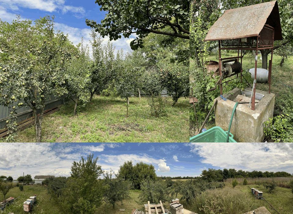 Vand Ferma Casa Teren Livada Zadareni Arad intravilan cu numar de casa