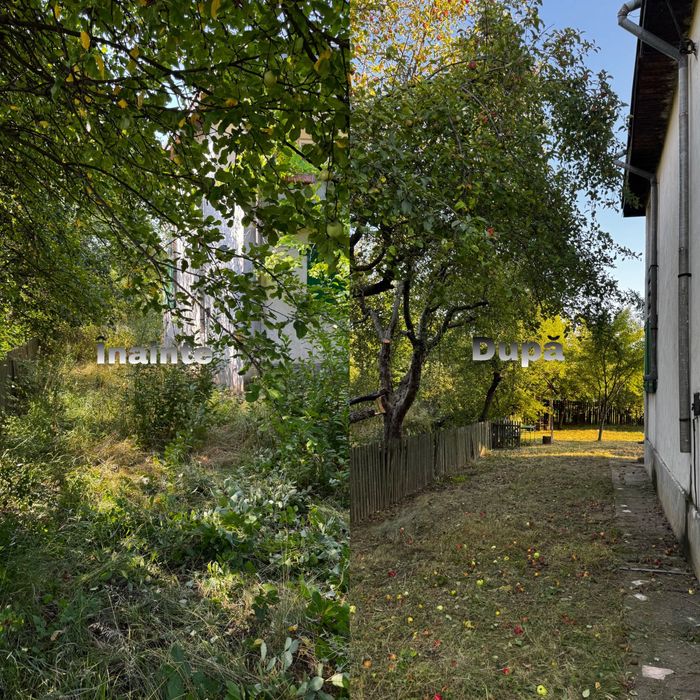 Cosim, Tăiem, Curățăm – Rapid și Eficient! Plus altele.