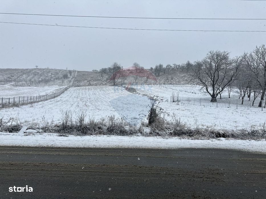 Teren 8,300mp Negresti (Dobreni) / Drumul DEALUL OTEL
