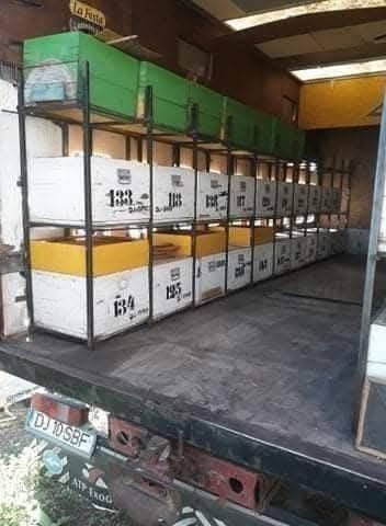 Camion apicol stupii