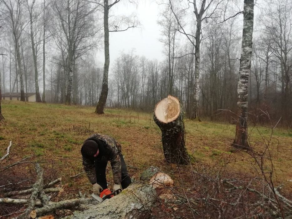 Спил, обрезка деревьев