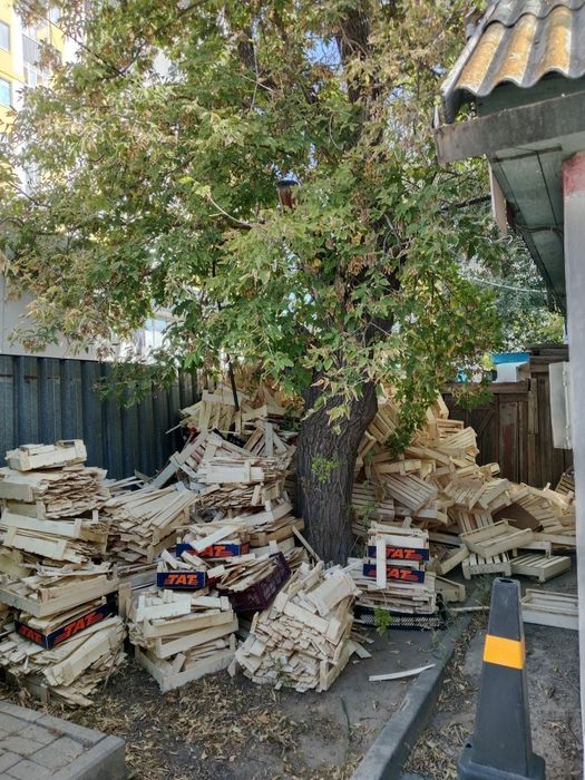 Продам дрова, деревянные  ящики