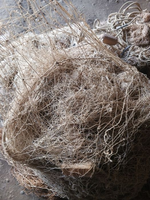 Балик тор бор куп