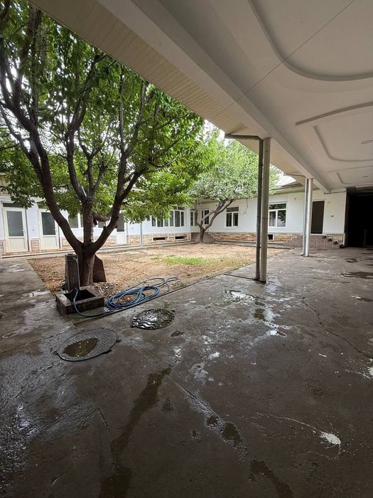 Arenda Uchtepa  oʻrikzor  hovli  ijaraga bogʻcha biznes ga ham 

7/1/1
