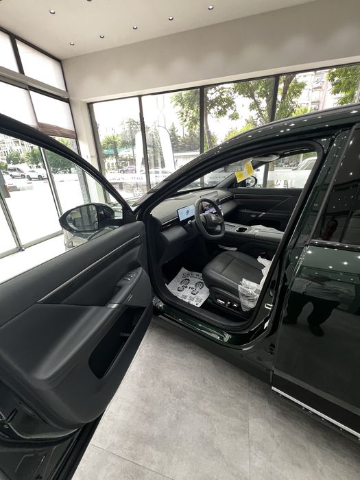 Dongfeng ep008 max