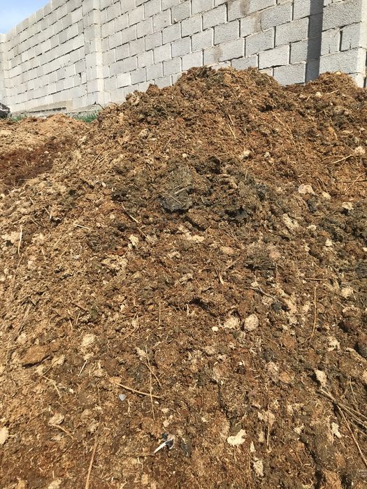 Жылқының көңі  сатылады