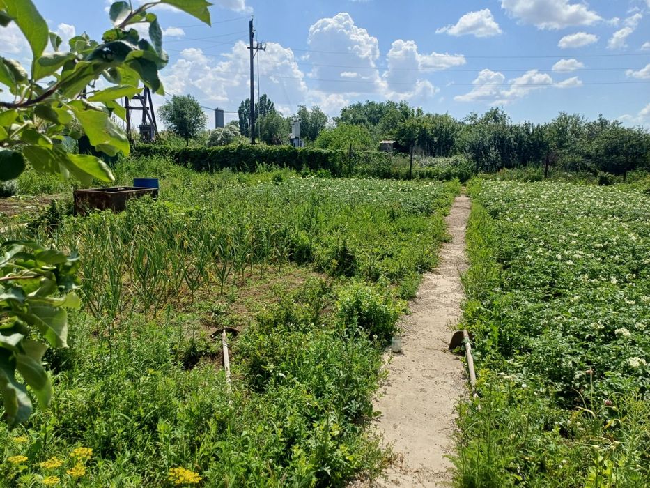 Продам дачу на саздинском водохранилище