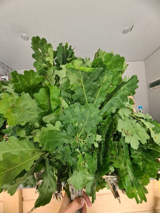 Веники  для бани