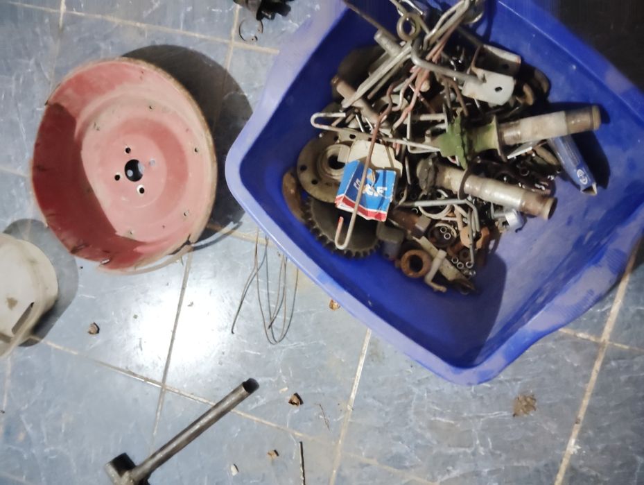 Daichi selka zabchastka