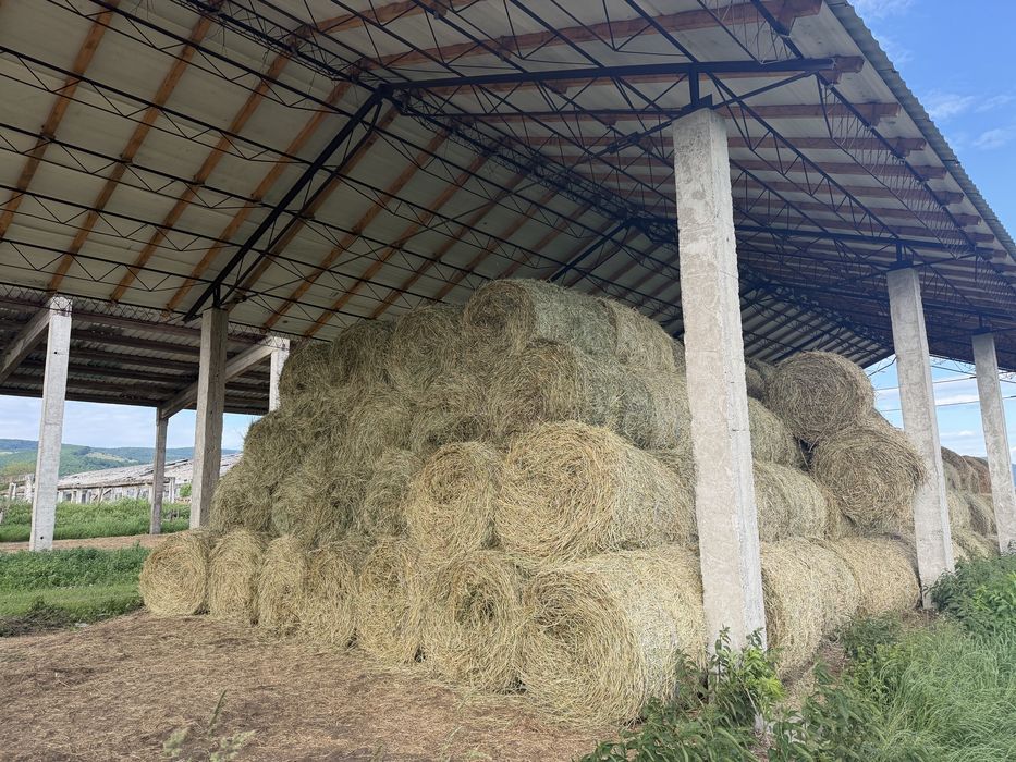 Vand baloti 120x120 fan / lucerna / luhara