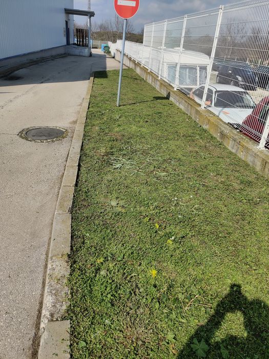 Професионално косене на трева и почистване на дворове