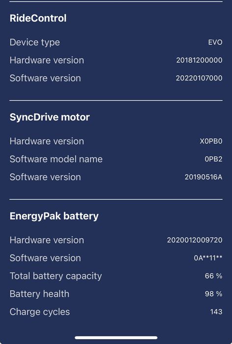 MTB Giant reign e+1 pros 2020 custom