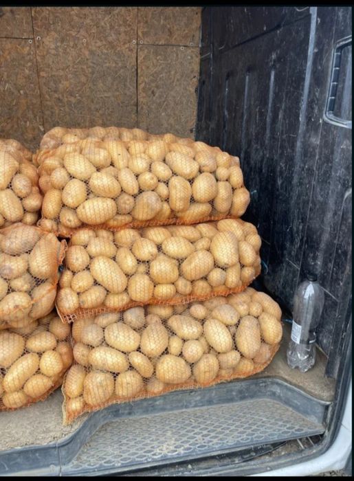 Vand cartofi de consum alb si rosu