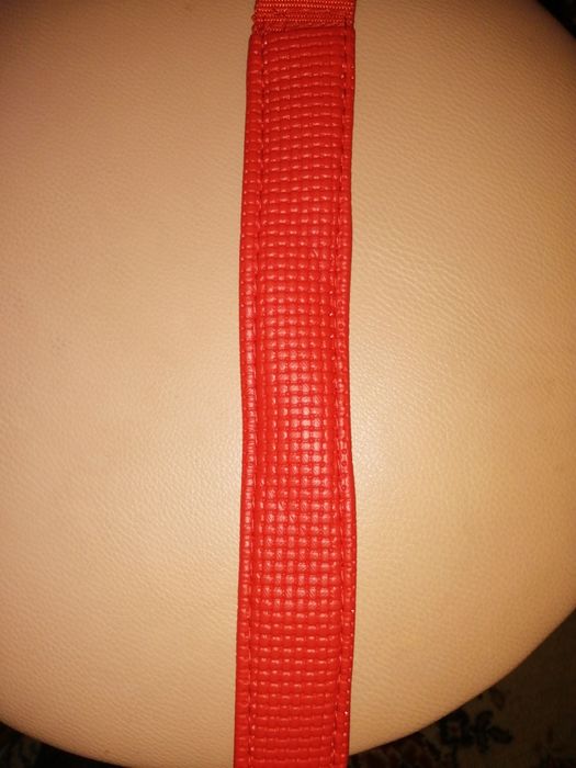 Ошейник для собаки