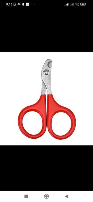 Itlar va mushuklar uchun