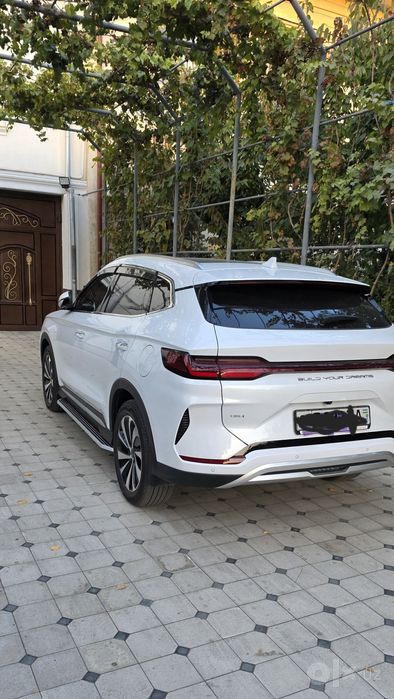 1BYD Чемпион гибрид