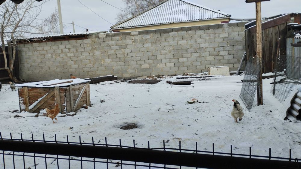 Продам дом! участок 6 соток