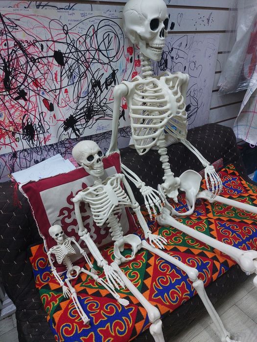 Скелеты из пластмассы.