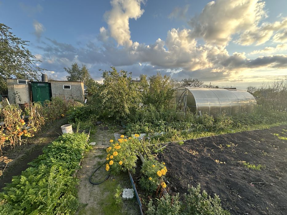 Продам дачу общество Борки