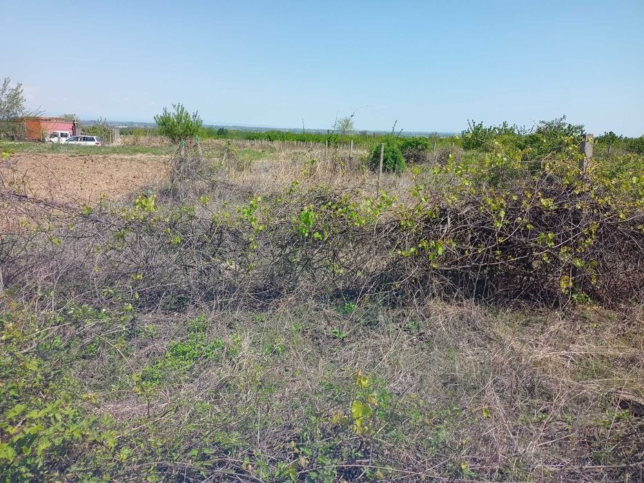 Продава се Земеделски имот в с. Брестник, Област Пловдив -  кв.м за 27000 €/дка - Снимка #8