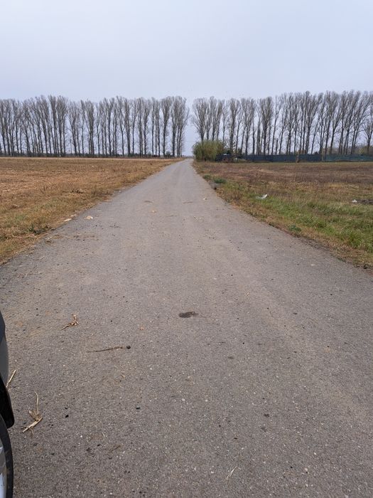 Black friday!!!Snagov 800mp linga lac .