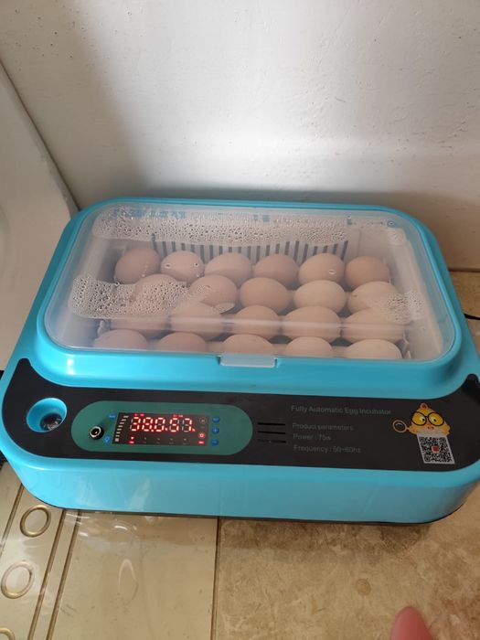 Инкубатор инкубатор