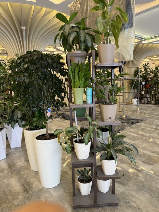 Gul tuvak stoykasi sotiladi