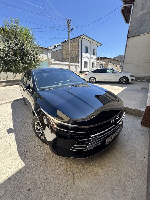 Byd Chazor 55km arenda 20% gadavoy