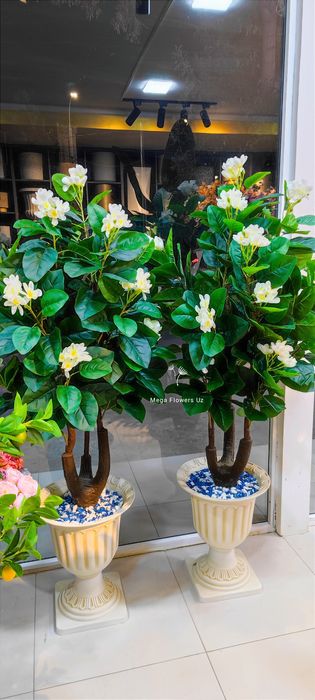 Искусственные растения цветы и деревья