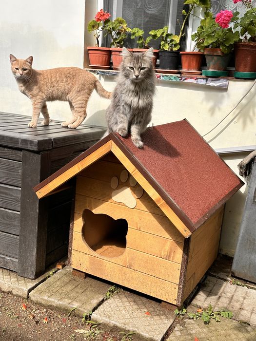 Кучешки къщи, къща за куче