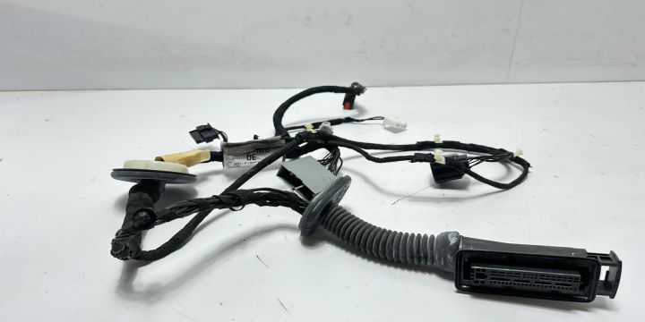 Cablaj usa stanga spate Dk6214633 Land Rover Range Rover Sport a 2-a